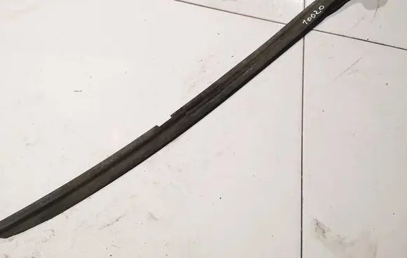 Peugeot 607 Rubber seal front coupe door 