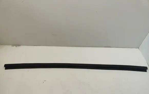 Dodge Challenger Rubber seal front coupe door 4575881AA