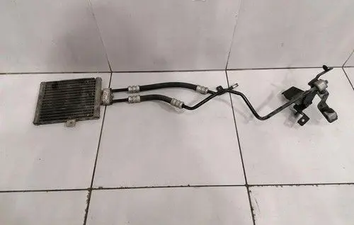 Mercedes-Benz S W220 Engine oil radiator A2155000000