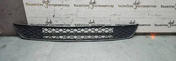 BMW X3 F25 Front bumper lower grill 7210465 105034