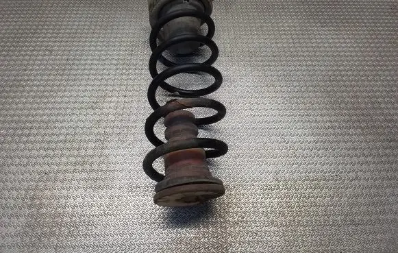 Citroen Berlingo Rear coil spring