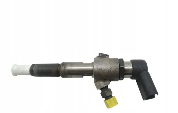 Citroen C3 Fuel injector 9652707180