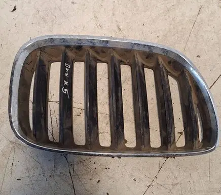 BMW X5 E53 Front bumper upper radiator grill 7124816 10627110