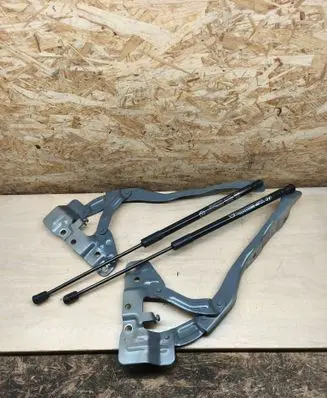 Hyundai Ioniq 5 Engine bonnet/hood hinges 