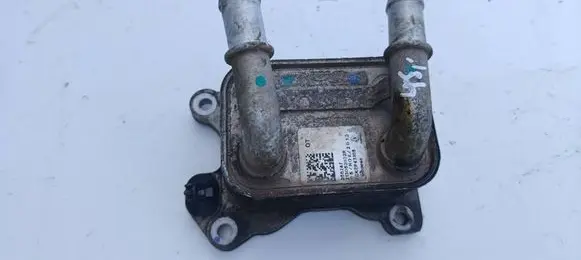 Nissan Juke I F15 Engine oil radiator 213052032r