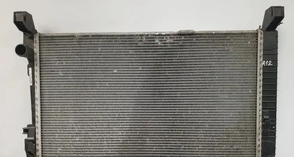 Mercedes-Benz A W169 Coolant radiator A1695001004