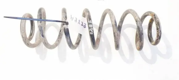 Rear coil spring