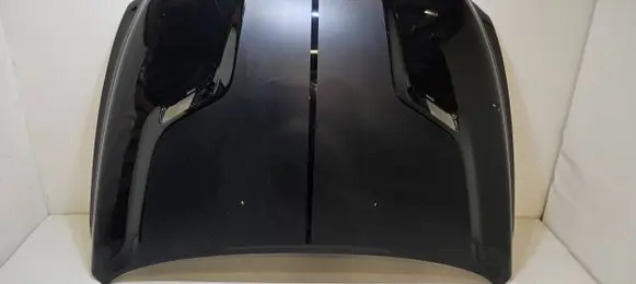 Dodge RAM 1500 DS Engine bonnet/hood
