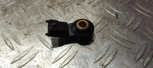 Opel Meriva A Detonation knock sensor 0261231173