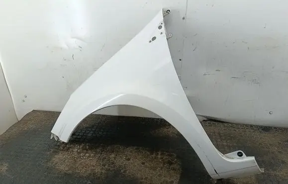 Renault Clio III Fender 8200325170