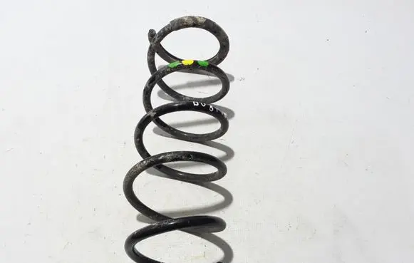 Dacia Duster II Front coil spring 540109039R