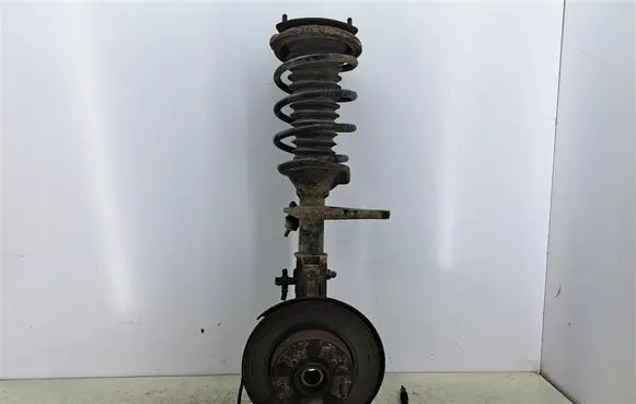 Land Rover Freelander Front shock absorber with coil spring 