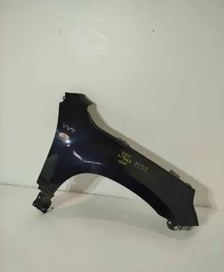 Suzuki Grand Vitara II Fender