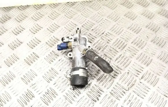 Thermostat/thermostat housing
