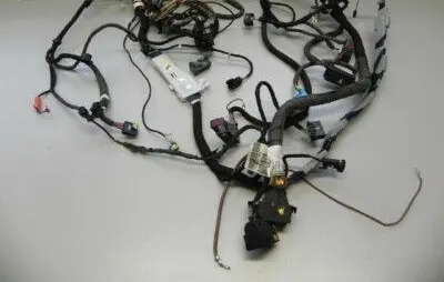 Land Rover Freelander Panel wiring 13213155 6284935