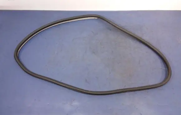 Renault Laguna III Front door rubber seal 