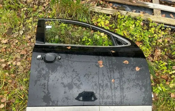 Hyundai ix 55 Front door