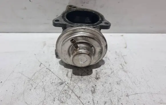EGR valve