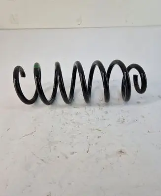 Rear coil spring