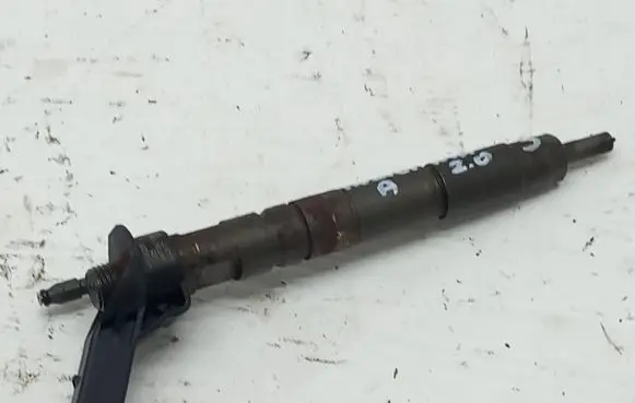 Opel Insignia A Fuel injector 55565209