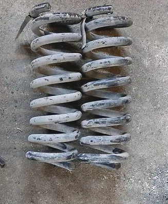 Rear coil spring