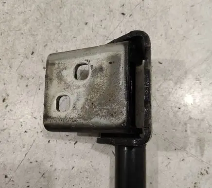 Renault Clio III Front door lower hinge 