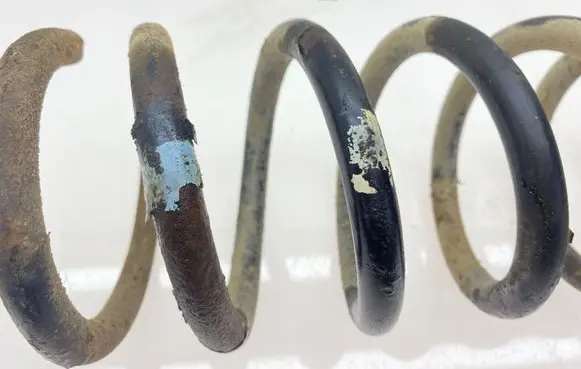 Rear coil spring