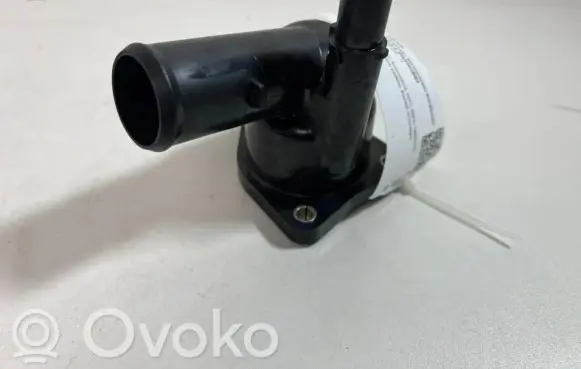 Thermostat/thermostat housing