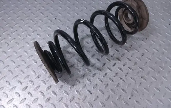 Rear coil spring
