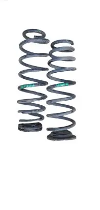 Hyundai Kona I Rear coil spring