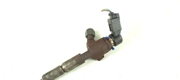 Ford Transit - Tourneo Connect Fuel injector 7T1Q-9F593-AB