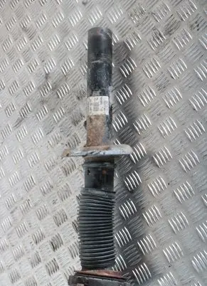 Volkswagen PASSAT B6 Front shock absorber/damper 3C0413031N