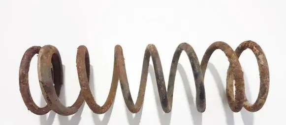 Ford Focus Rear coil spring
