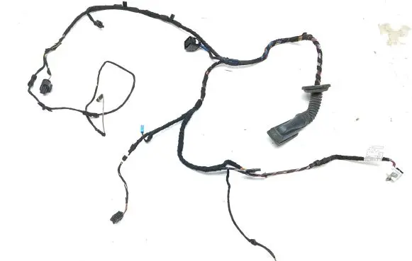 BMW X2 F39 Front door wiring loom 8795804