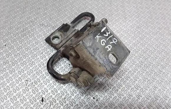 Volkswagen Golf IV Rear door lower hinge