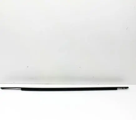 Ford Escape III Rear door glass trim molding LJ6BS20562
