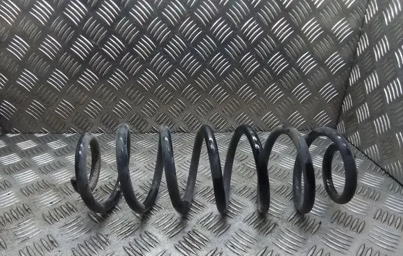 Volkswagen PASSAT B6 Rear coil spring