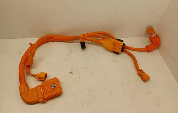 Hyundai Santa Fe Other wiring loom 1879015179