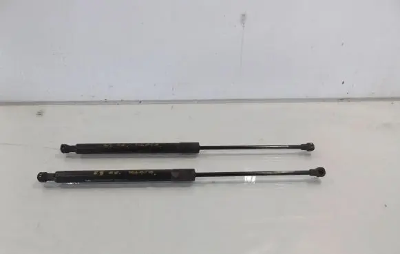 Citroen C3 Rear window strut damper 