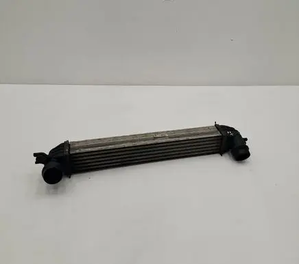 Mini Paceman (R61) Intercooler radiator 8506904
