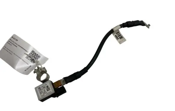 Negative earth cable (battery)