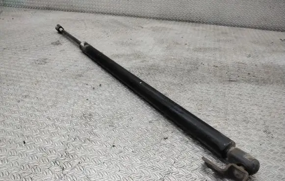 Chrysler Pacifica Front bonnet/hood damper/strut