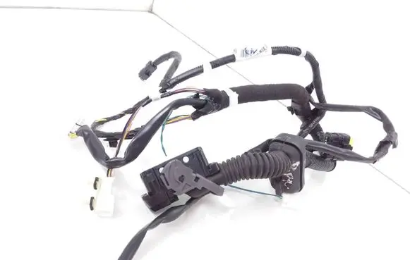 Front door wiring loom