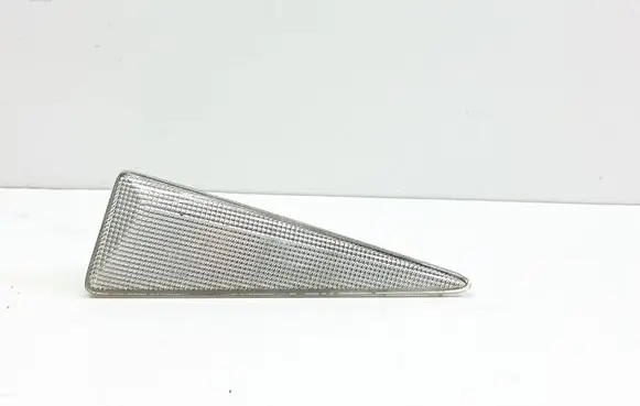 Front fender indicator light