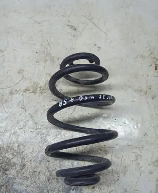 Volkswagen PASSAT B5.5 Rear coil spring