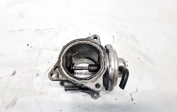Volkswagen Jetta V EGR valve 038131501AN