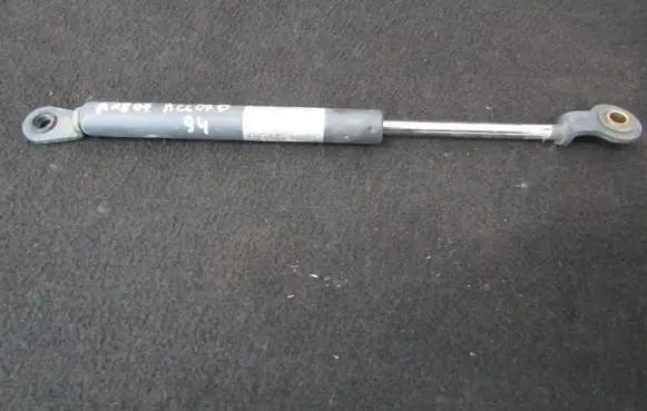 Tailgate/trunk strut/damper