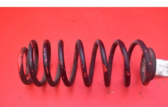 Seat Leon (1M) Rear coil spring