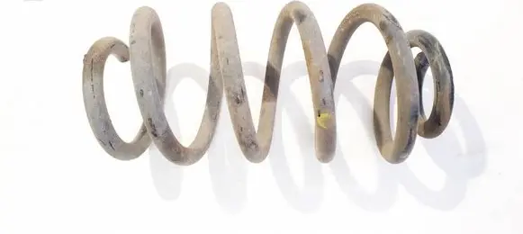 Rear coil spring