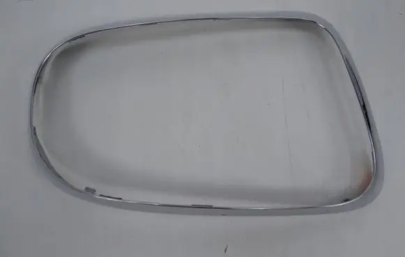 Rear/tail light trim molding